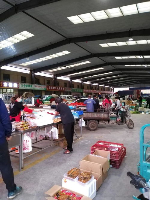 中貿(mào)農(nóng)產(chǎn)品綜合批發(fā)市場(chǎng) 從基地到市場(chǎng)，蔬菜區(qū)一站式采購(gòu)與每日參考價(jià)解析